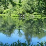 Jenny Pond in Plymouth