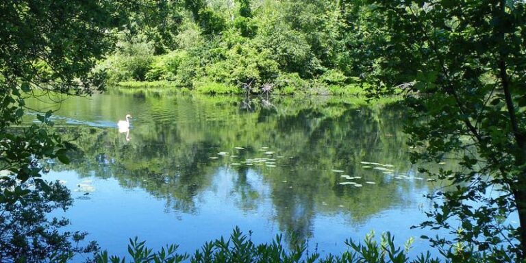 Jenny Pond in Plymouth