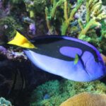 Ocean Explorium at New Bedford Seaport